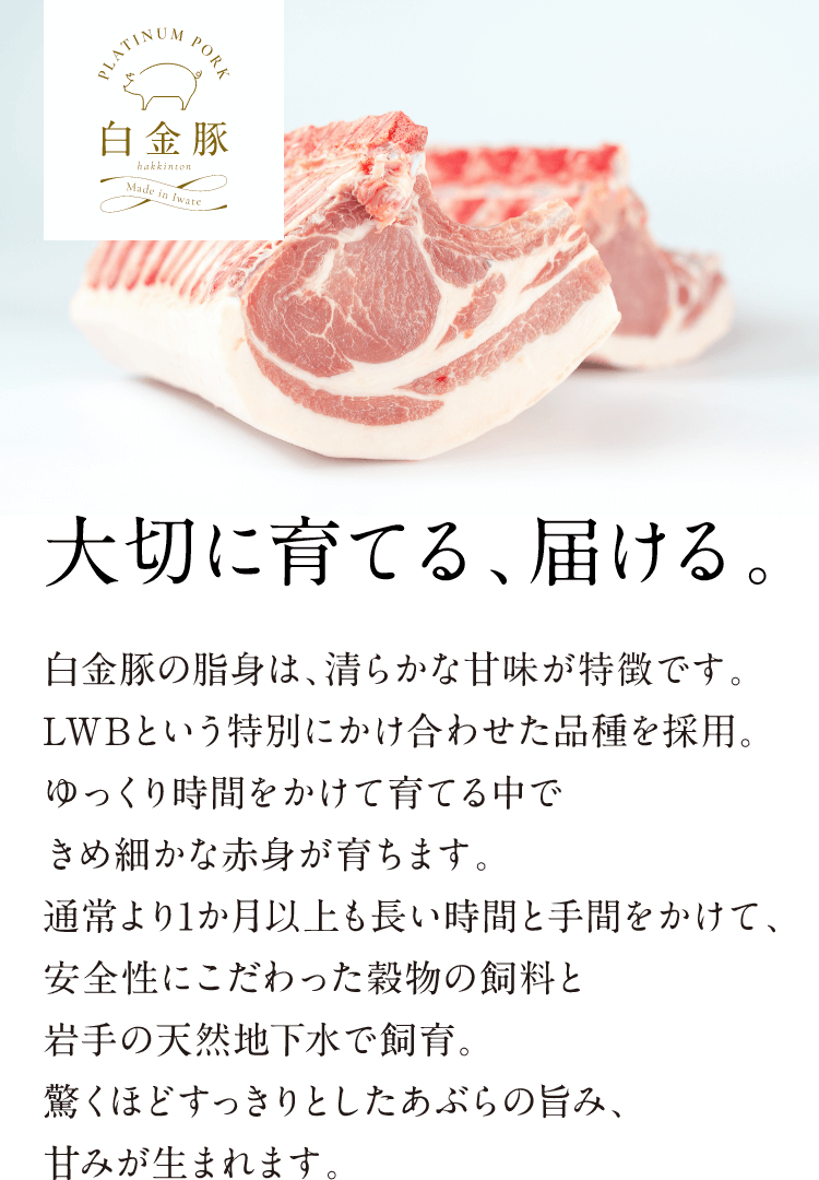 白金豚 高源精麦