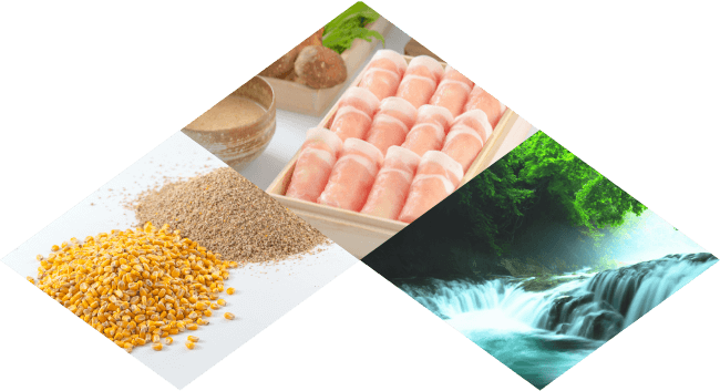 Platinum Pork Policy