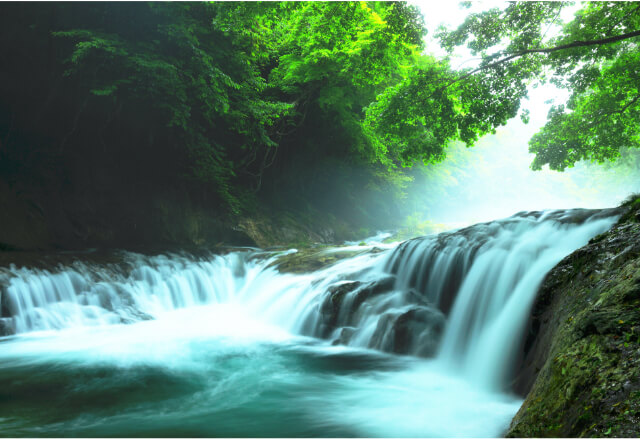 美しい自然の残る岩手の育てた、流麗な天然水